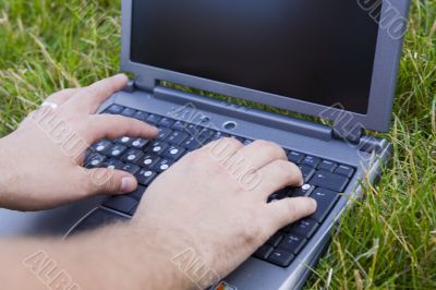 Hands and laptop on the herb