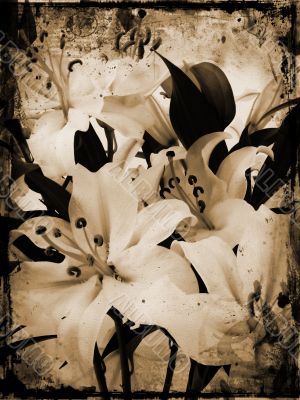Grunge lillies