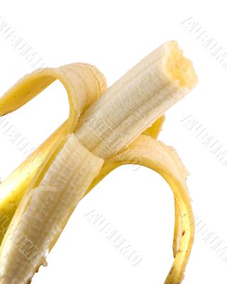 banana banana