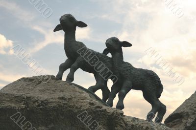 Two lambs on the rocks - evening