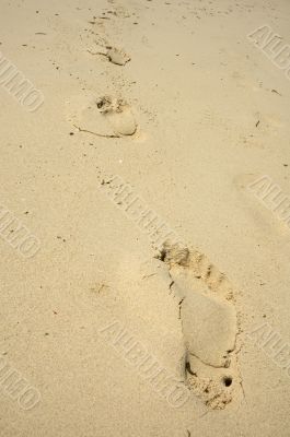 footprints in the sand