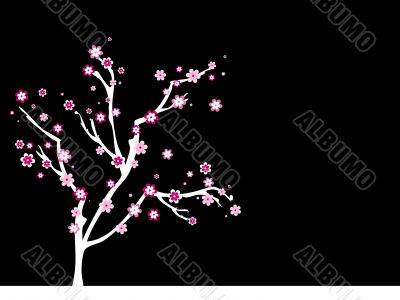 Blossom tree