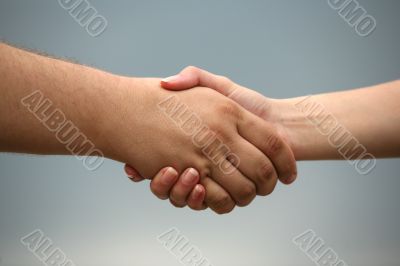 Business handshake