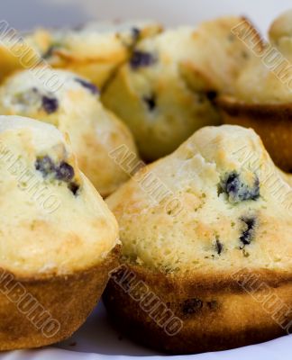 Blueberry Muffins