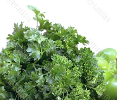 Parsley