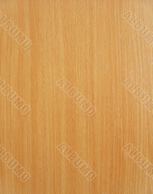  Wood texture