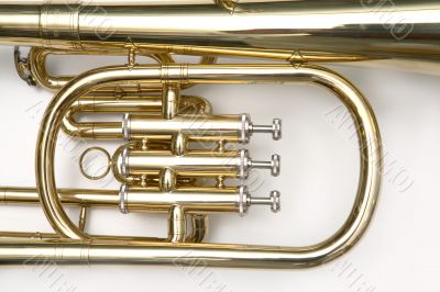 Trumpet cornet close-up