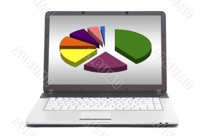 pie chart on the screen of notebook