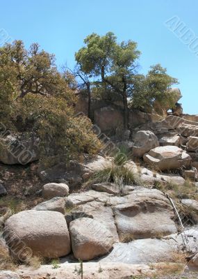  Texas Canyon Rock formations with trees