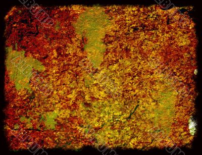 Great for textures and backgrounds
