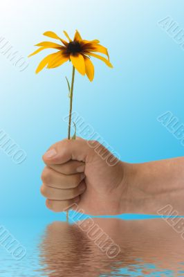 The stretched hand with a flower on a blue background