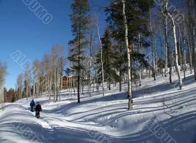 Snowshoe hiker, shadows of aspens