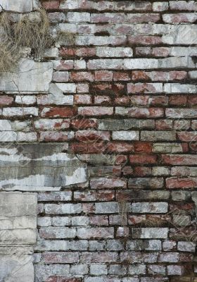 ancient wall - nice textured background