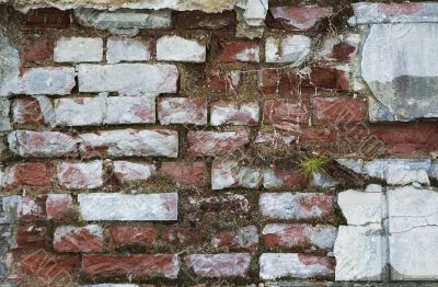 ancient wall - nice textured background