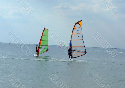 Two surfers on waves of a gulf in the afternoon