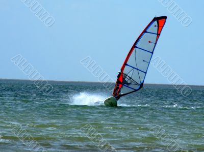 windsurfer on waves of a gulf in the afternoon