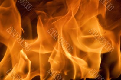 flame flame