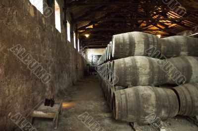 port barrels in vineyard