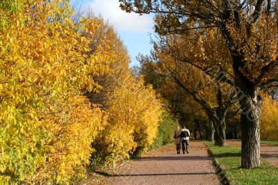 Autumn alley