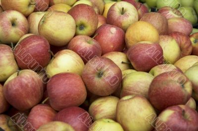 apples