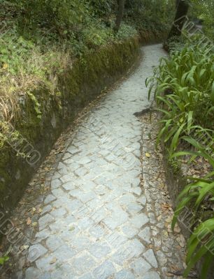 path