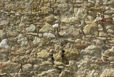 rock texture