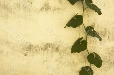 grunge floral background
