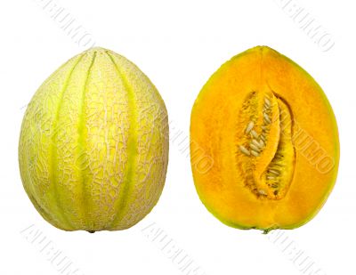 tasty ripe melon parts isolated on white