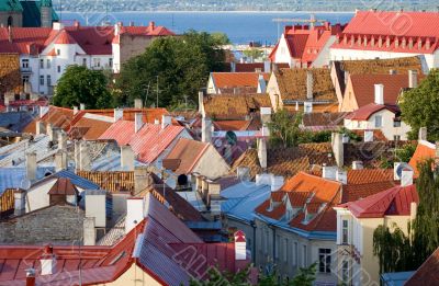 roofs of tallinn