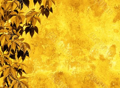 yellow floral background