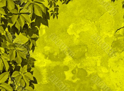 green floral background