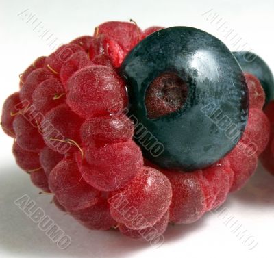 ripe raspberry with a bilberry inside