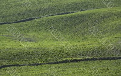 background of green hills