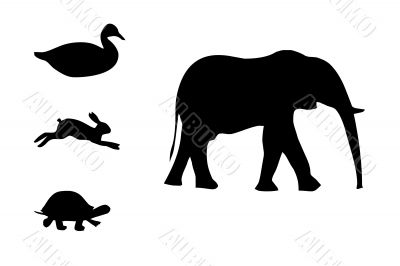  Black animals silhouettes,vector,pictur e,elephant