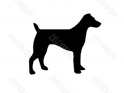  Dog silhouette,vector,pet