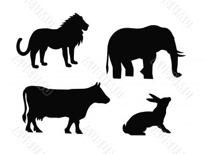 Black animals silhouettes,vector