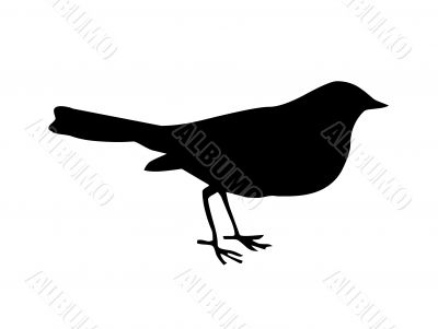 little bird black silhouette