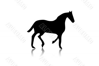  Black horse silhouette,shape,vector,i solated
