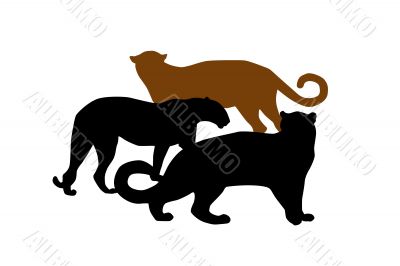 Wildlife silhouettes ,cats,predator,vector