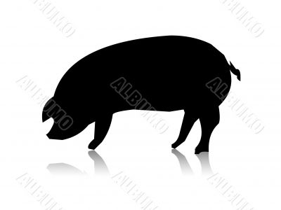 pig silhouette