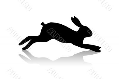  hare running