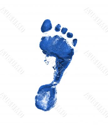 Dark blue footprint