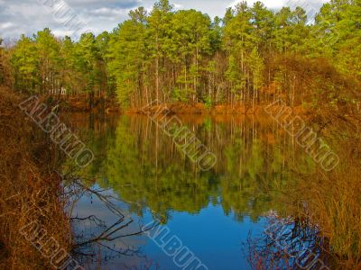 autumn reflections in pond