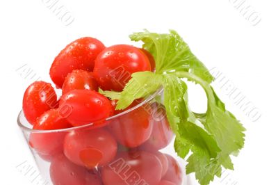 Tomato Juice Tomato Juice