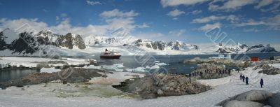 Panorama - penguin colonies, cruise ship