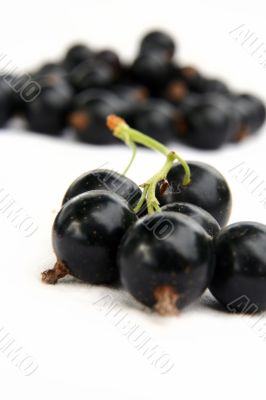 currants Isolated in White currants Isolated in White