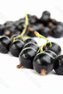 currants Isolated in White currants Isolated in White
