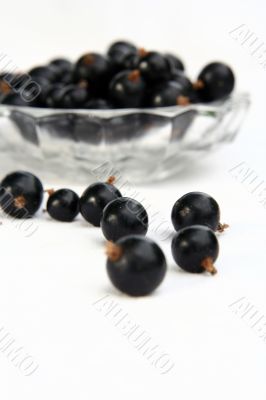 currants Isolated in White currants Isolated in White