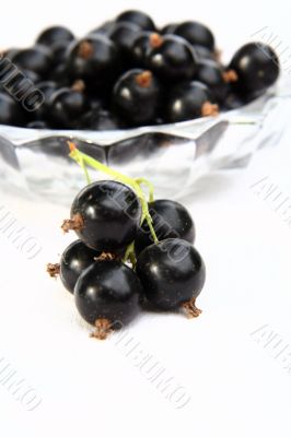currants Isolated in White currants Isolated in White