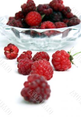 Raspberry isolated in White Background Raspberry isolated in White Background